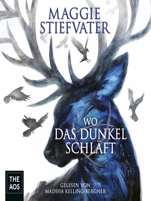Title details for Wo das Dunkel schläft by Maggie Stiefvater - Available